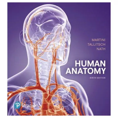 Human Anatomy