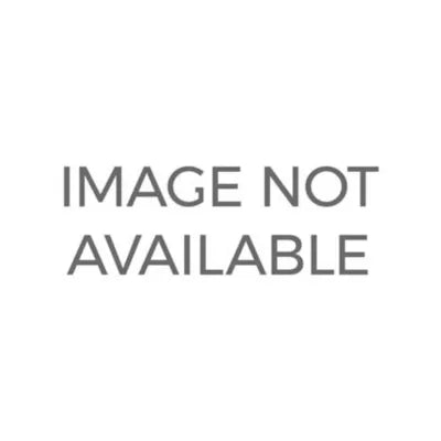 Speak Up!: An Illustrated Guide to Public Speaking