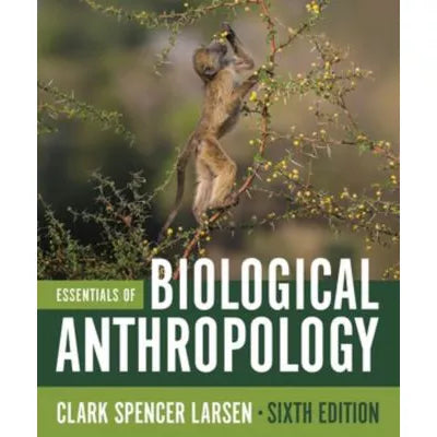 Essentials of Biological Anthropology 6e Courseware (Norton Illumine Ebook, InQuizitive, Anthropology in 3D, and Videos &amp; Animations)